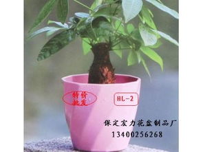 仿瓷塑料花盆的匠心之作 保定市宏力塑料模具制品厂的绿色美学探索